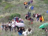 Clicca qui per vedere l'immagine in dettaglio